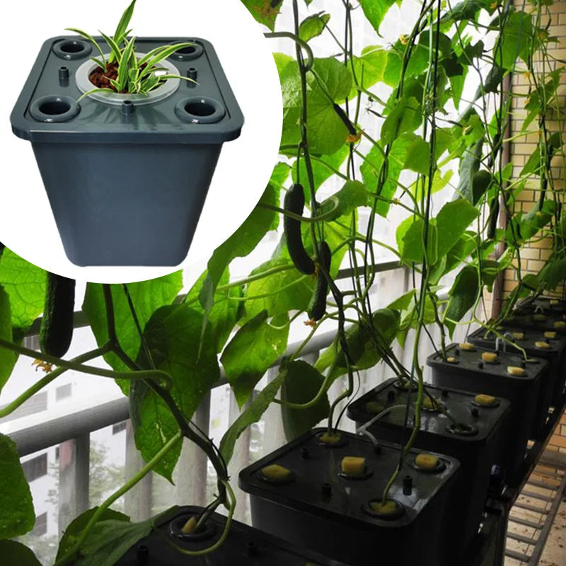 Plant Growth Hydroponic System