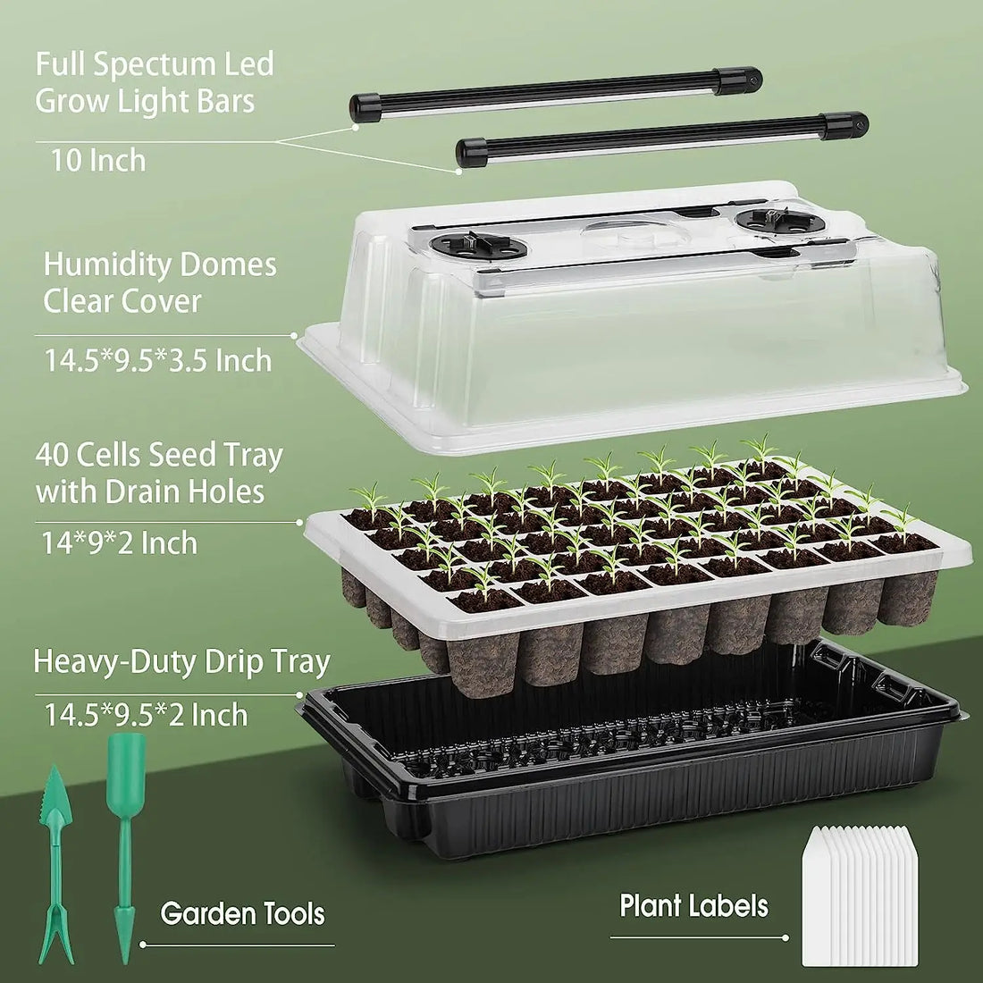 "Complete Mini Greenhouse Set: Seed Starter Trays with 2 Long Grow Lights, 40-Cell Kit, and Humidity Dome for Healthy Seedlings"