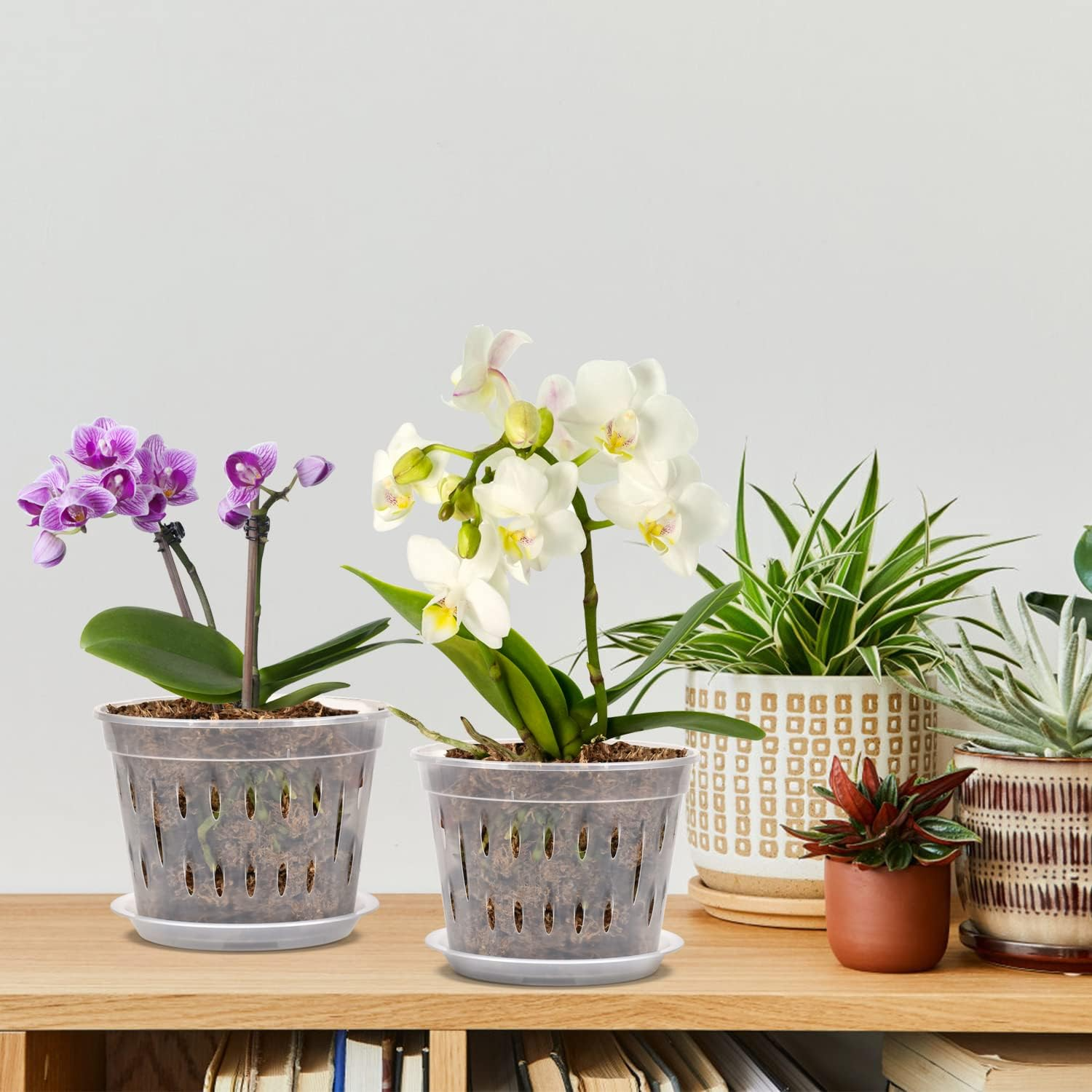 5 Pcs Transparent Orchid Pot