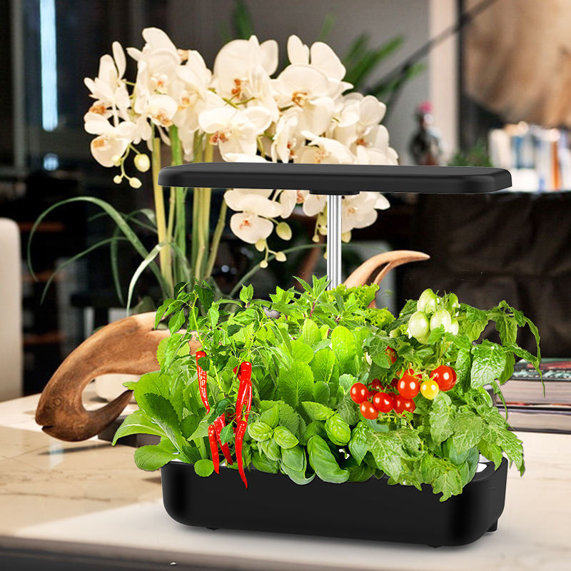 Hydroponic LED Growing Systems For Home